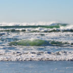 beach-1204401_1280 beach-1204401_1280