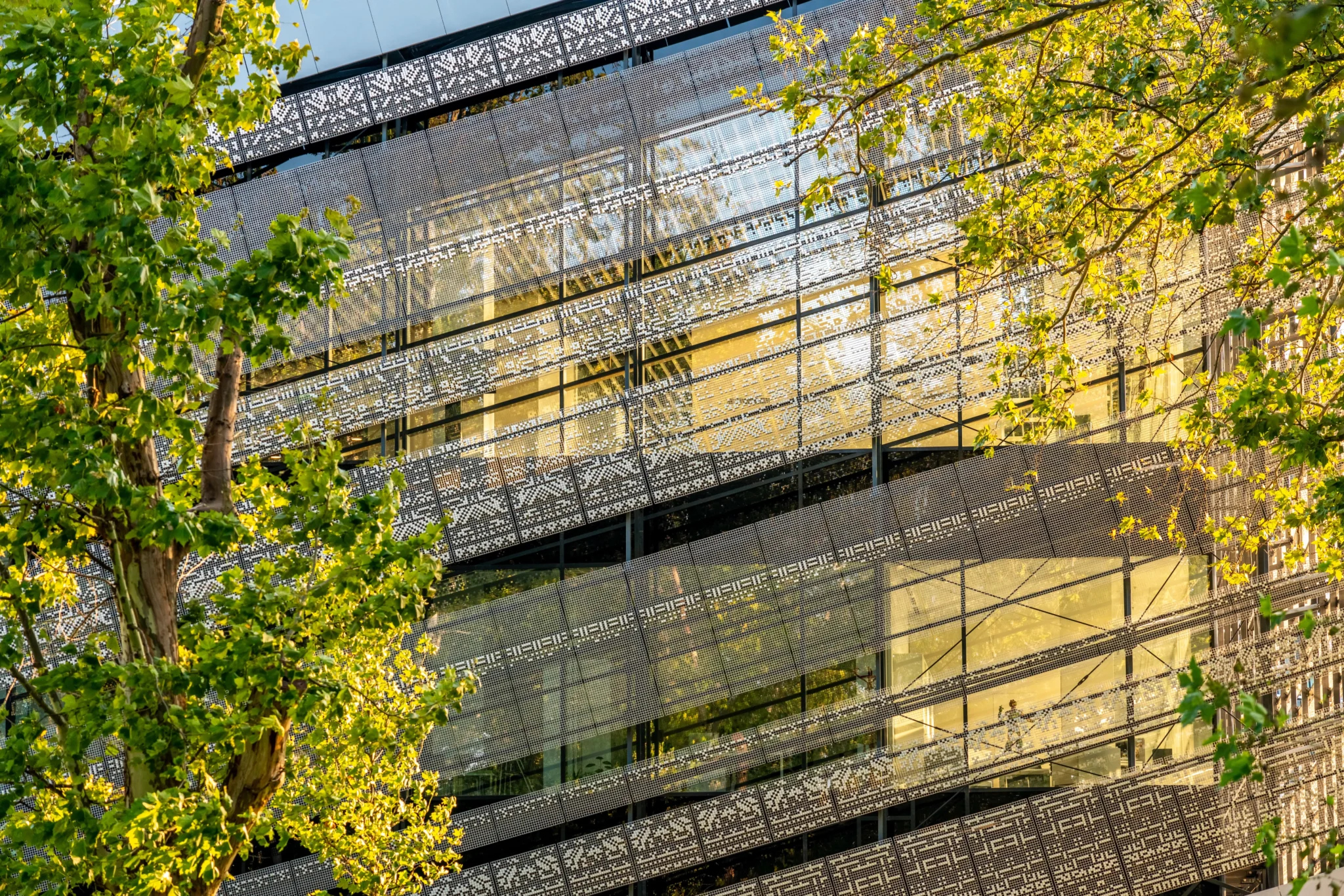 Museum Of Ethnography 14 Min